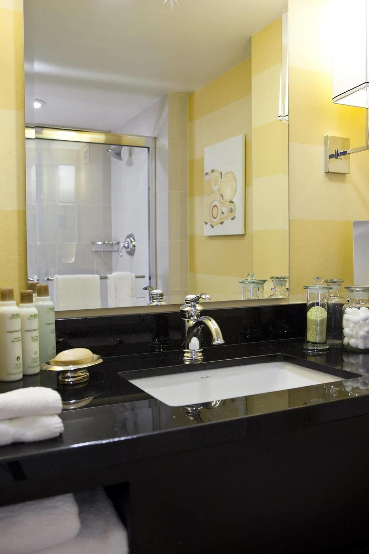 The Baronette Renaissance Detroit-novi 3* Novi