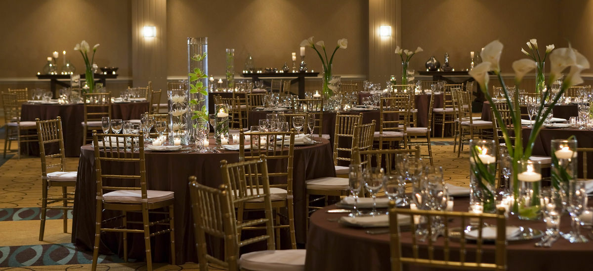 The Baronette Renaissance Detroit-novi Novi